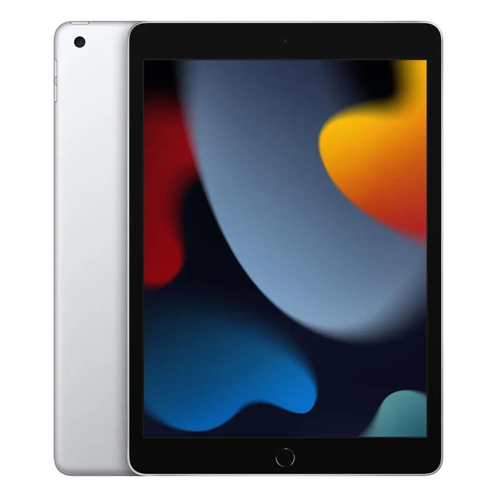 Apple iPad 9th generation, back view